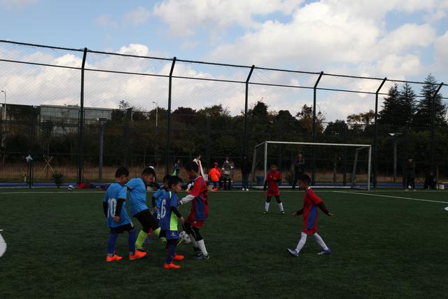 文班亚马31+12+6+6马刺胜步行者 尼克斯克骑士